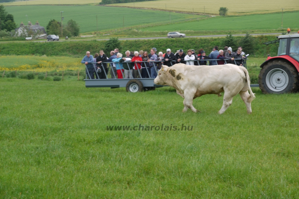 WCC Nagy-Britannia 2012 - DZ